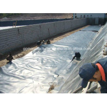 Top Qualität HDPE Geomembrane